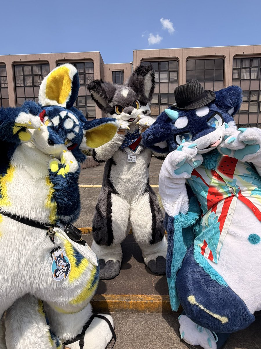 バル@三桁狼『ミダン』→UTFG🇹🇼 tweet media