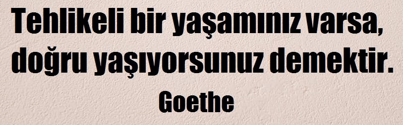 HasanArkan tweet media