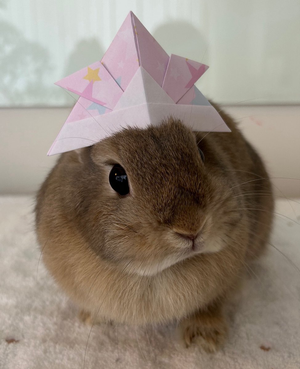 M Mうさぎ tweet media