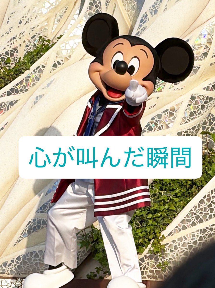 みー🦊 tweet media