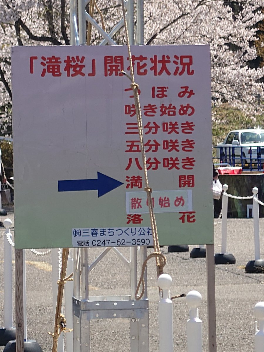 ハロゲン tweet media