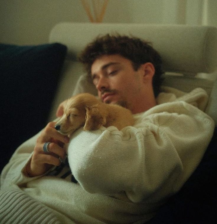 𝙅𝙤𝙚🦊 tweet media