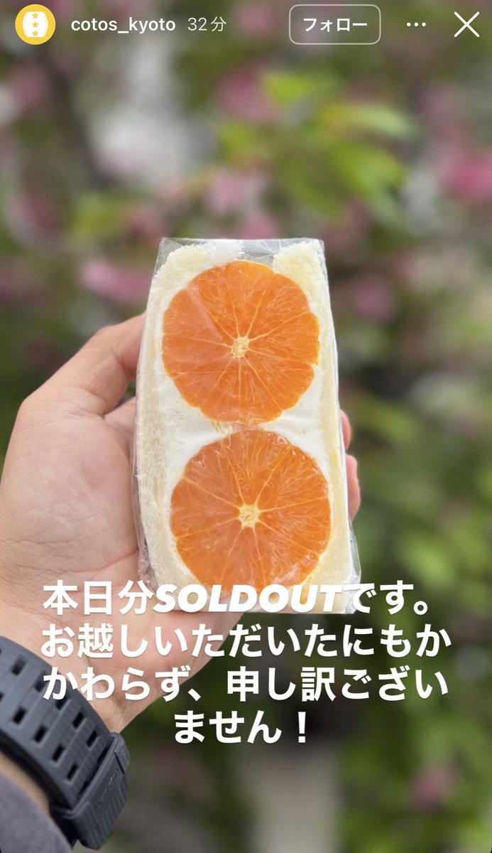 コタツはん tweet media