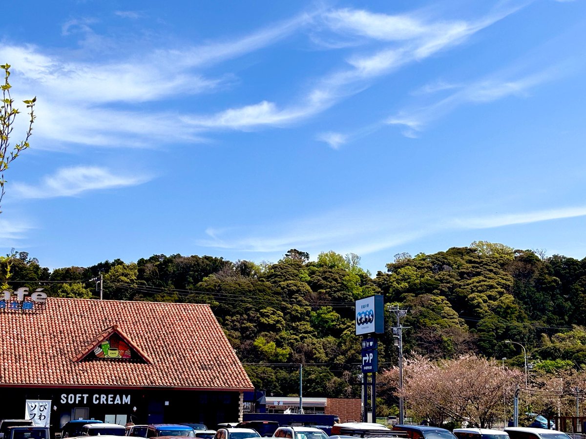 nemoasakura's tweet photo. 南房総の道の駅に来たら「自分サバです」と言い張る絶対サバじゃない魚を見かけたので買って食べてる。やっぱりサバじゃなかったけど旨みが濃くて旨い。 https://t.co/LOSqEHEz4d