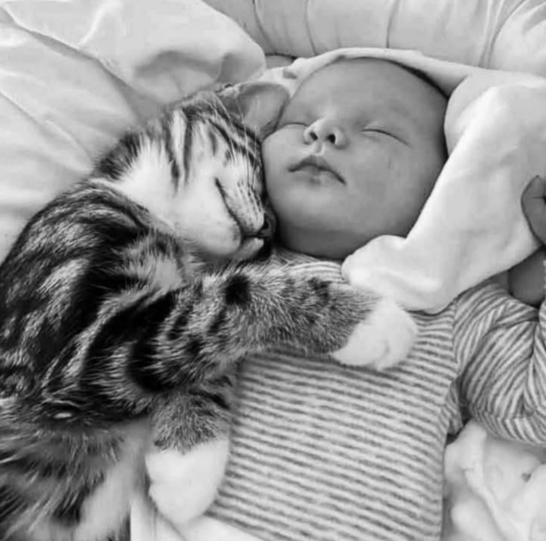 Ballı Kahvem tweet media