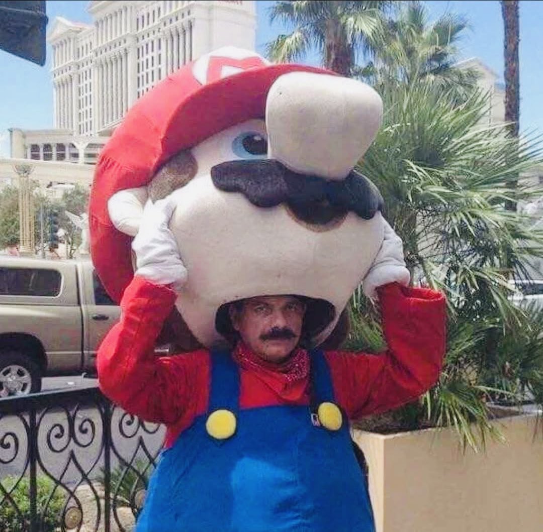 まるお2号🇯🇵（羊の皮を被った猫） tweet media