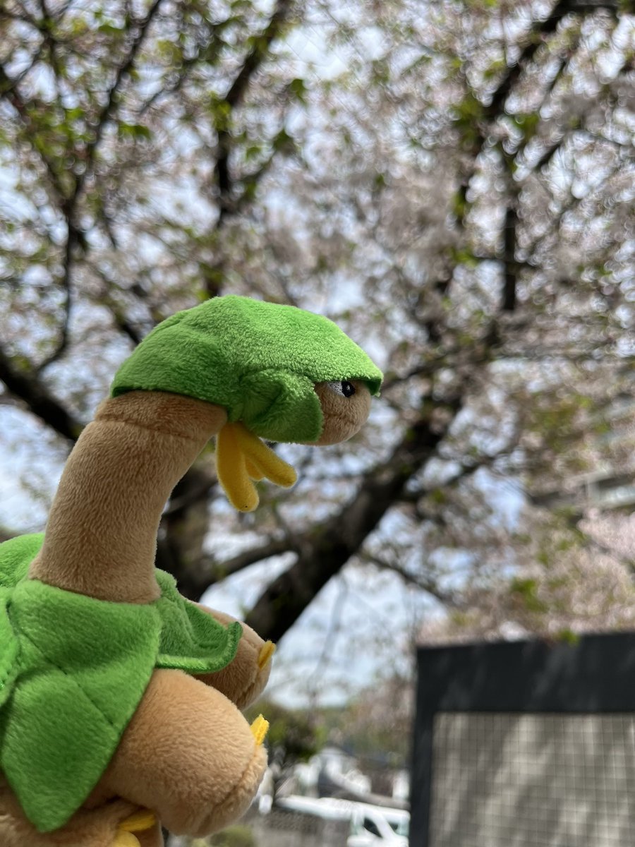 お散歩好きのトロピウス tweet media