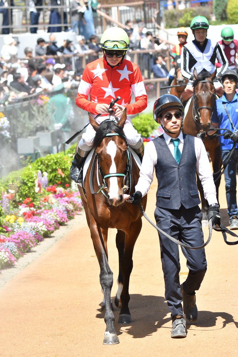 手羽先 tweet media