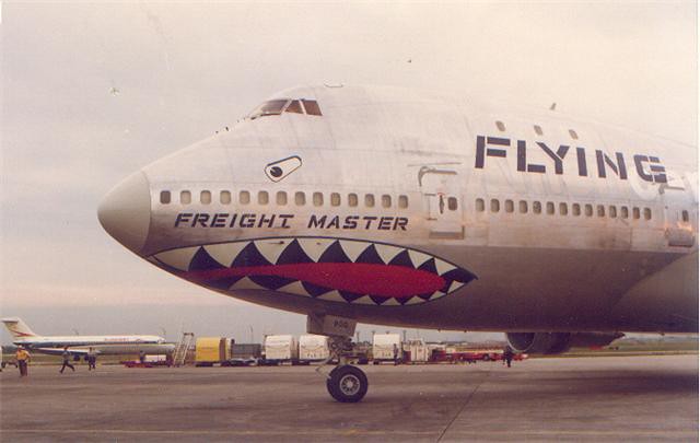 ((In Amber Clad))🧡🦕 tweet media