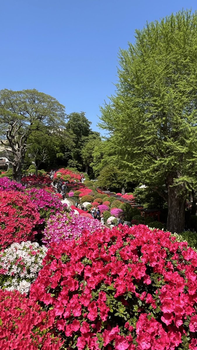 みっちゃん@\(^o^)/ tweet media