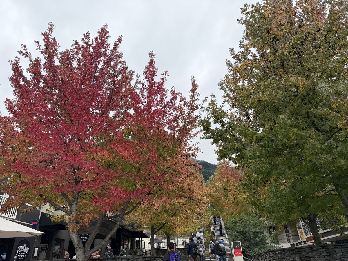 つぼみん旅行記 tweet media