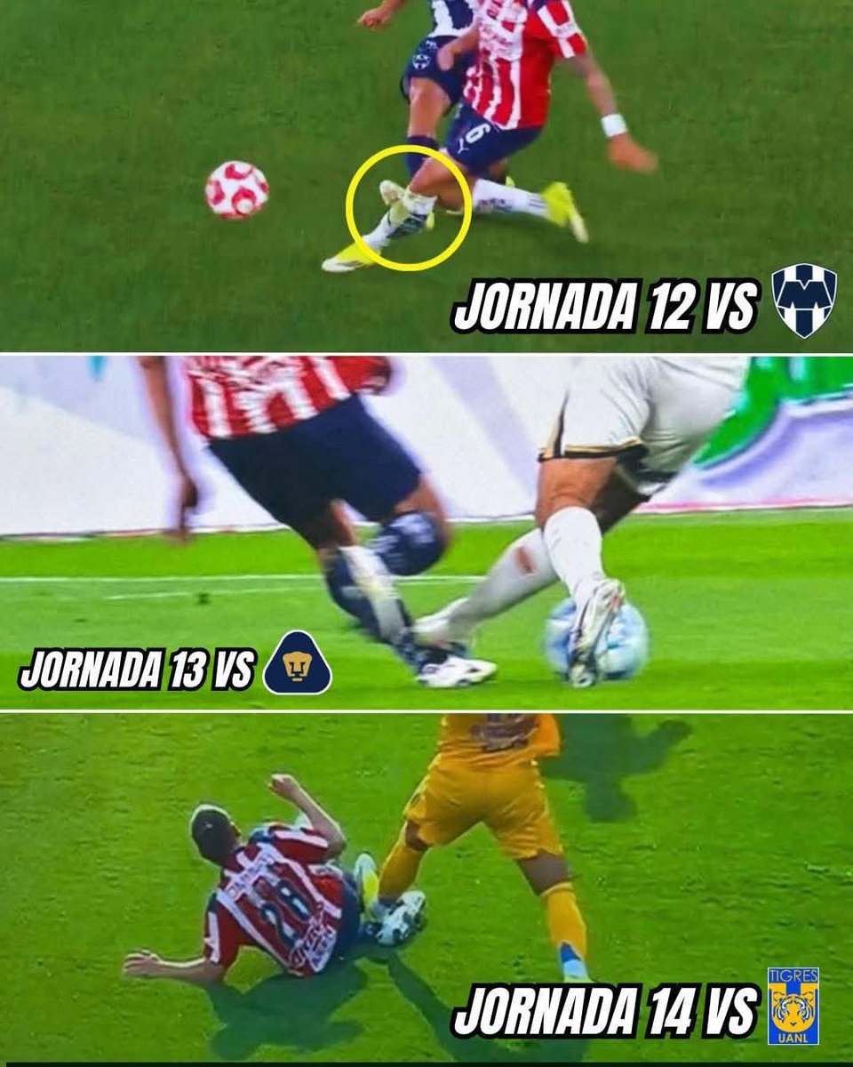 Ledezmismo tweet media