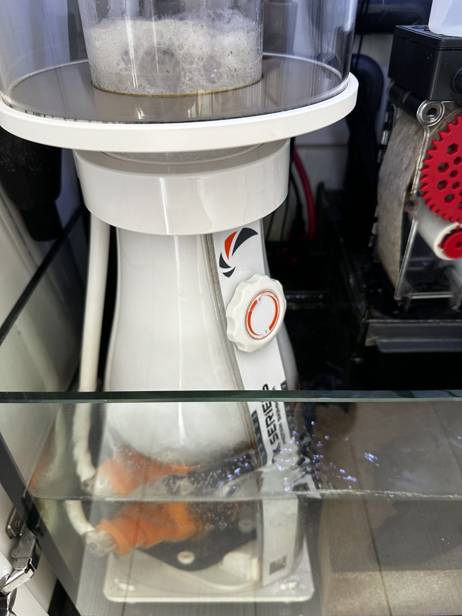 水換え完了
久しぶりにスキマーを徹底洗浄☝️
モーターの軸にあるマグネットも綺麗にしました✌️
