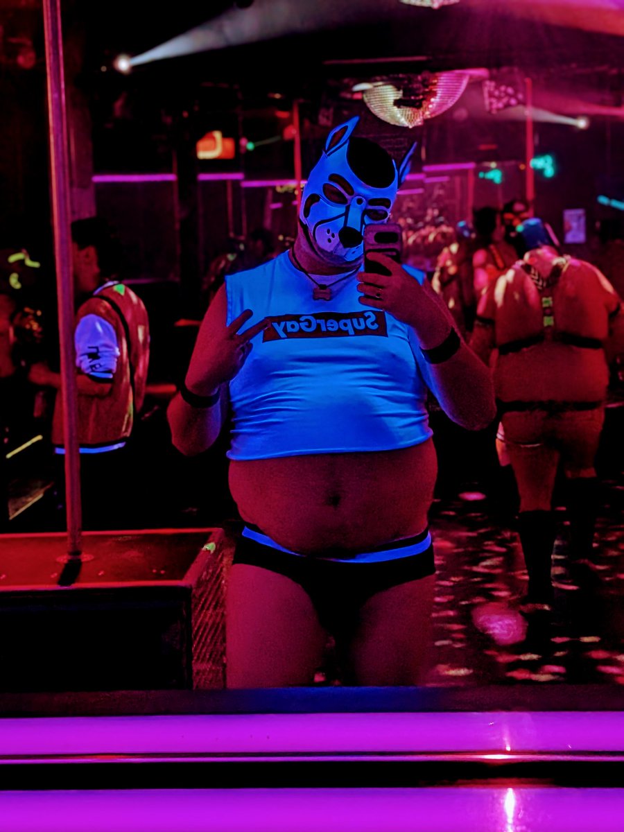 Pup Patch tweet media