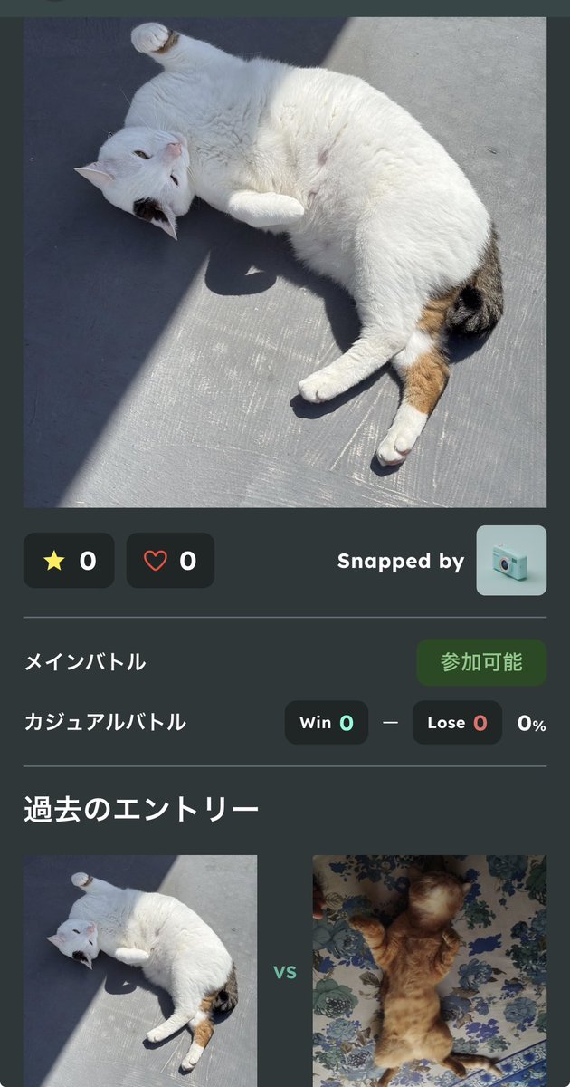 hanpaaa's tweet photo. 猫のお腹バトル
#SNPIT https://t.co/UXVYob4VPD