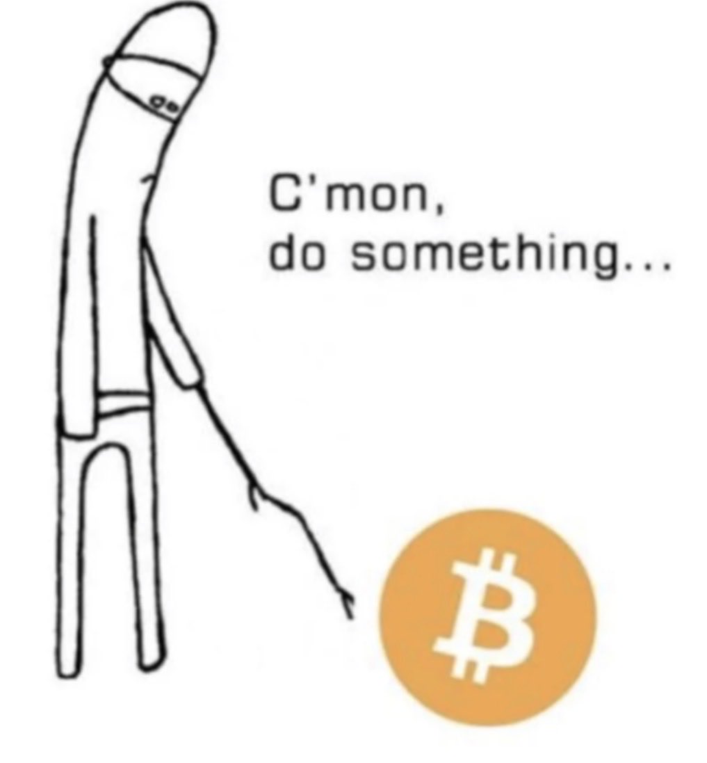 Chris Lane tweet media