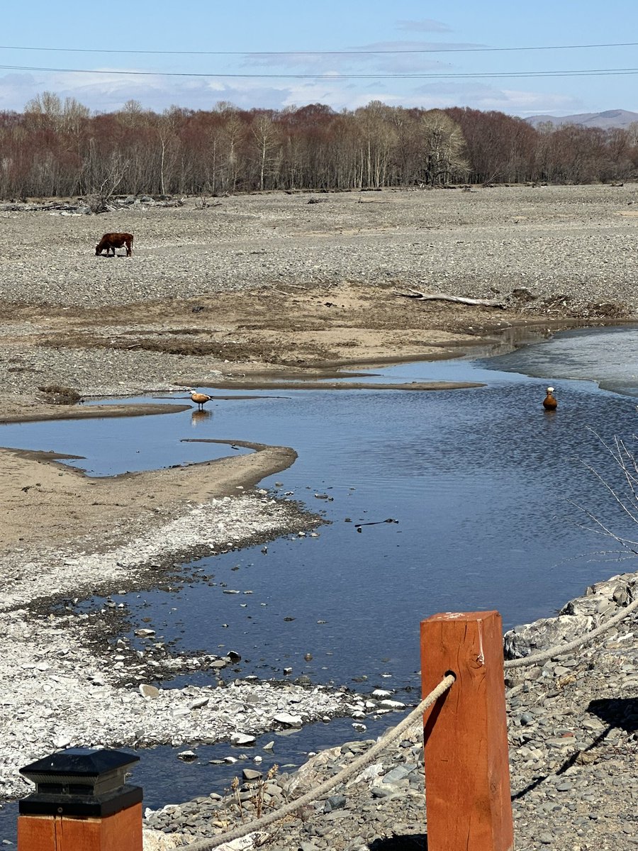 Ёс суртахуун эрхэмлэгч, хөгжлийн бодлогын судлаач tweet media