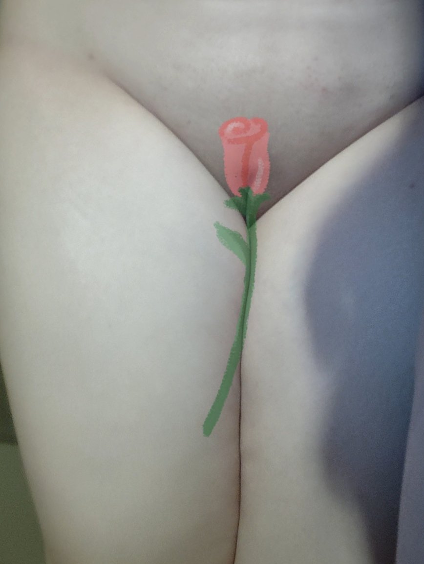 软软脆脆小狗包 tweet media