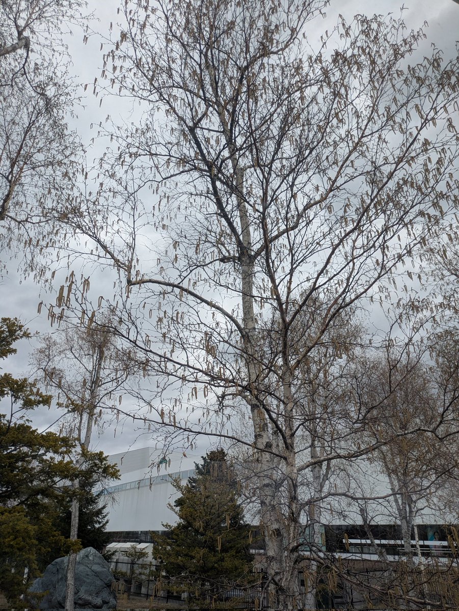 kiyo5000 tweet media