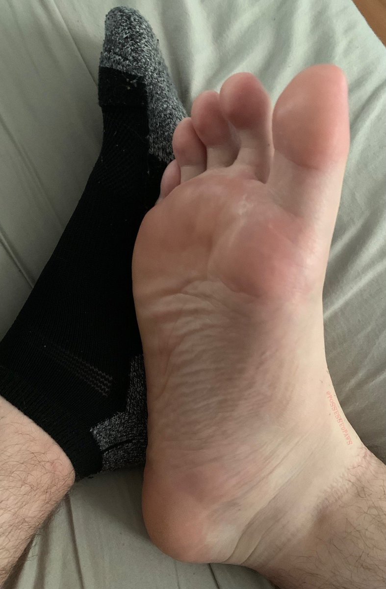 EctoPuppyAD tweet media