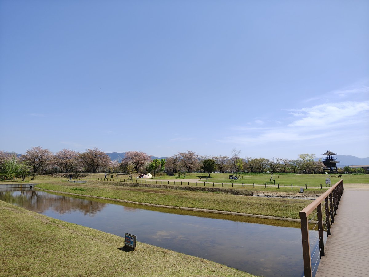 ほぼ散りだけどなかなか良い感じだな。
そういえば整備前にも桜に時期に来たことあった気がするけど、だいぶ広々伸び伸びできる感じに広がってるな