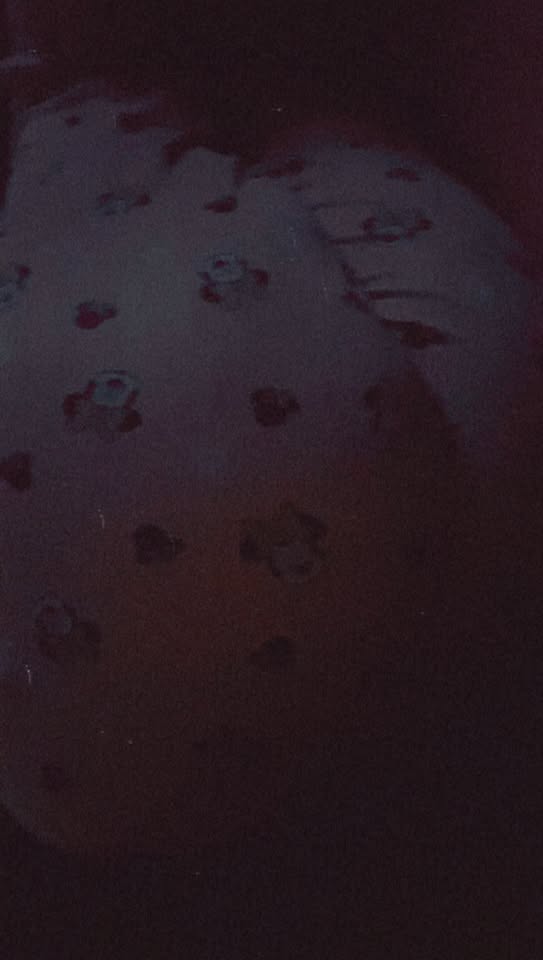 violetVA tweet media