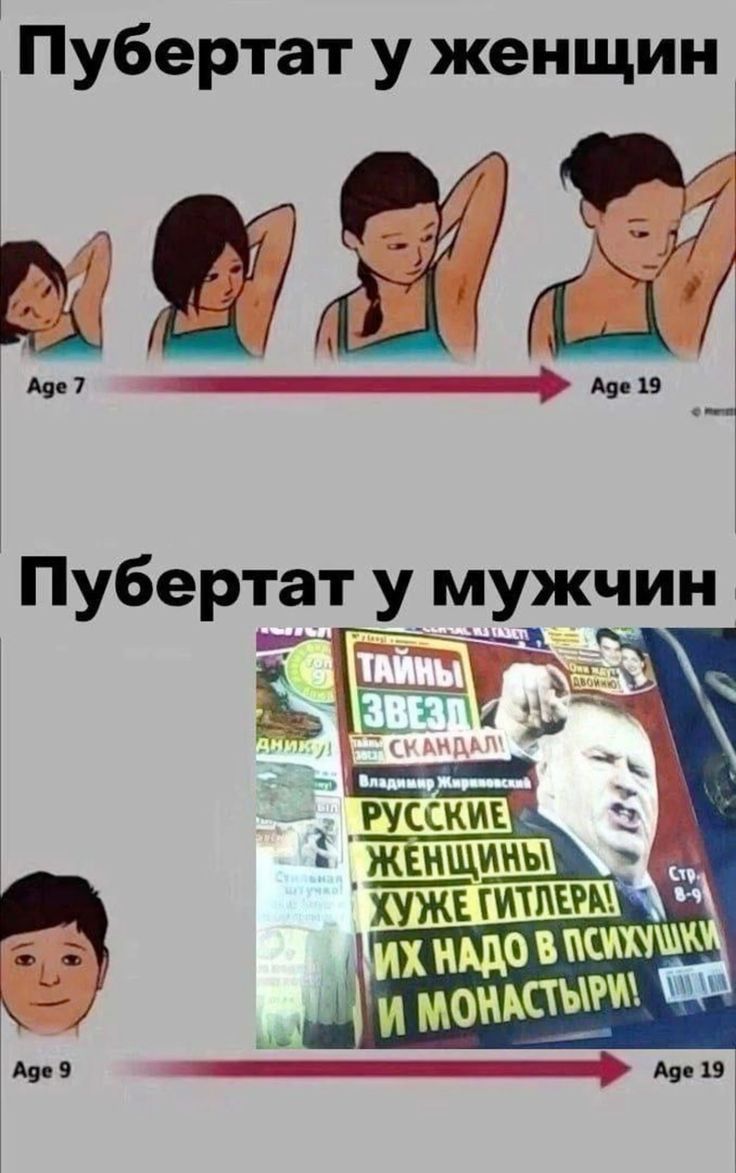 Sumi The Maid💕🇺🇦|🇨🇦|🏳️‍⚧️|🇷🇺 tweet media