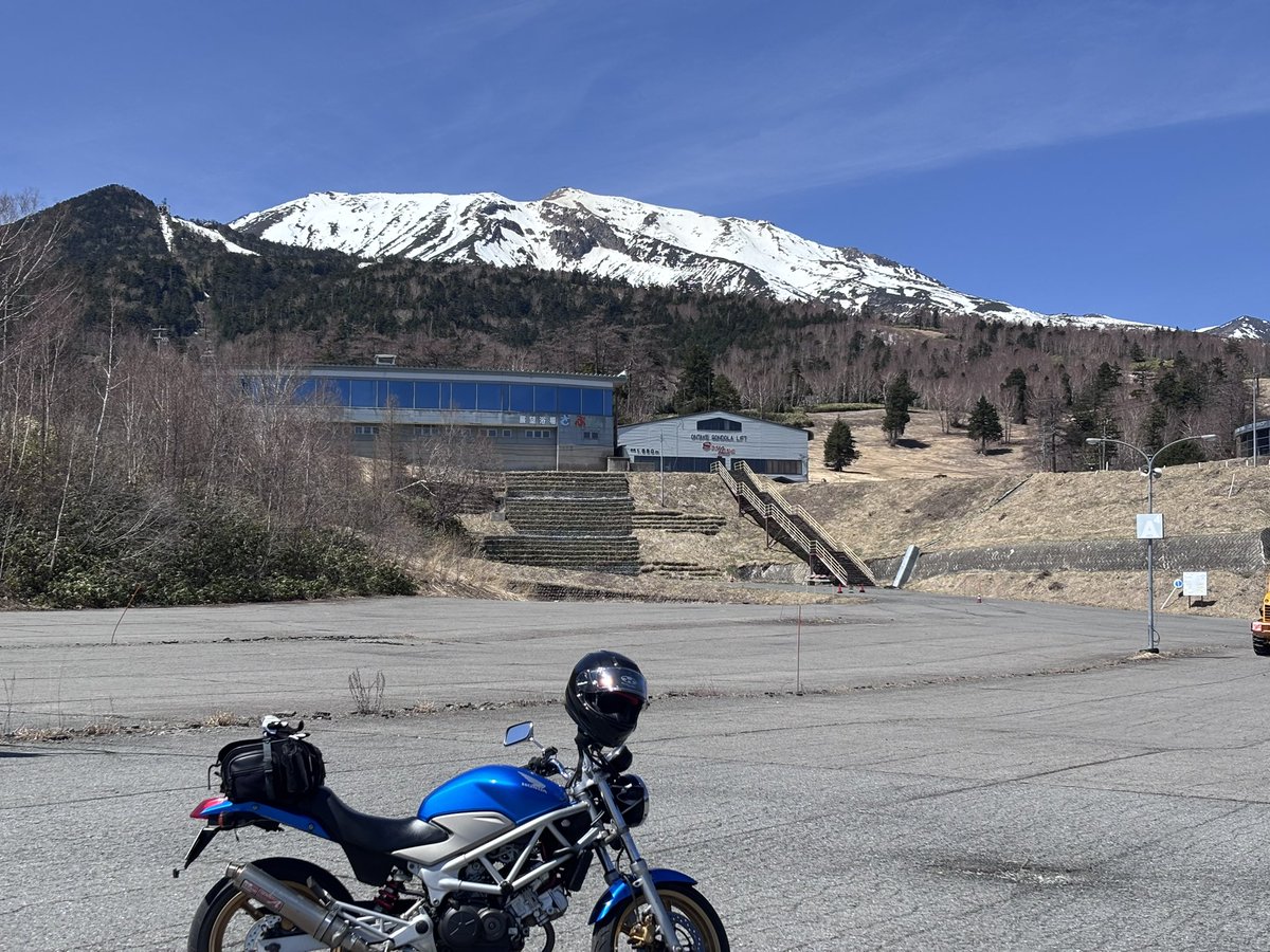 やす。 tweet media