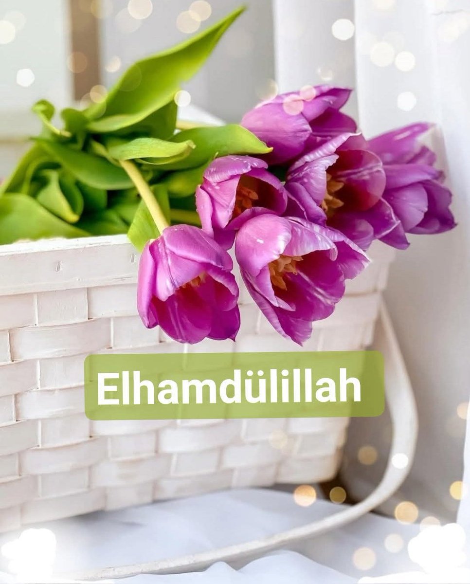 damlasukaya06's tweet image. #Allah'ım 

Senden başka hiçbir güneş

Ruhumdaki sisi gideremiyor

#Hamdolsun