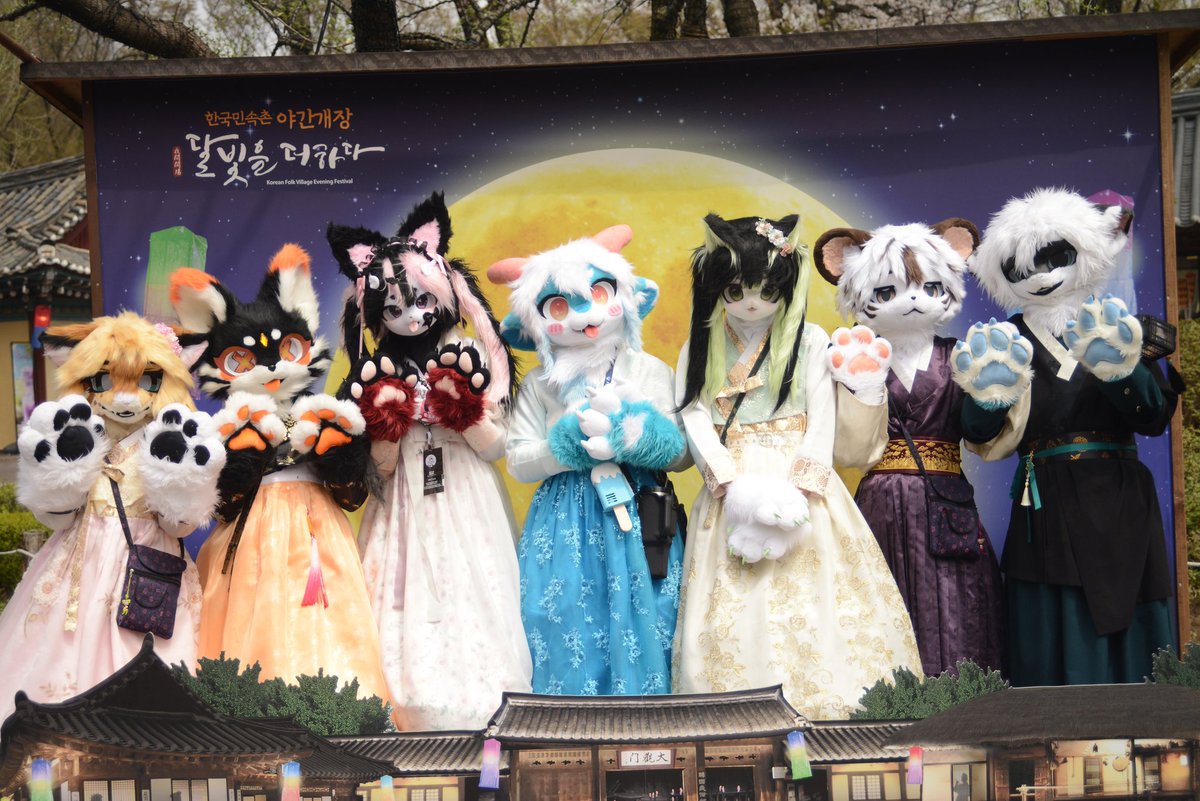 아란🐈‍⬛🔸️ tweet media