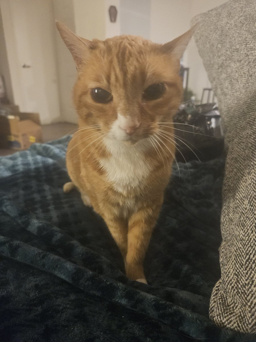 🤟🤟 tweet media