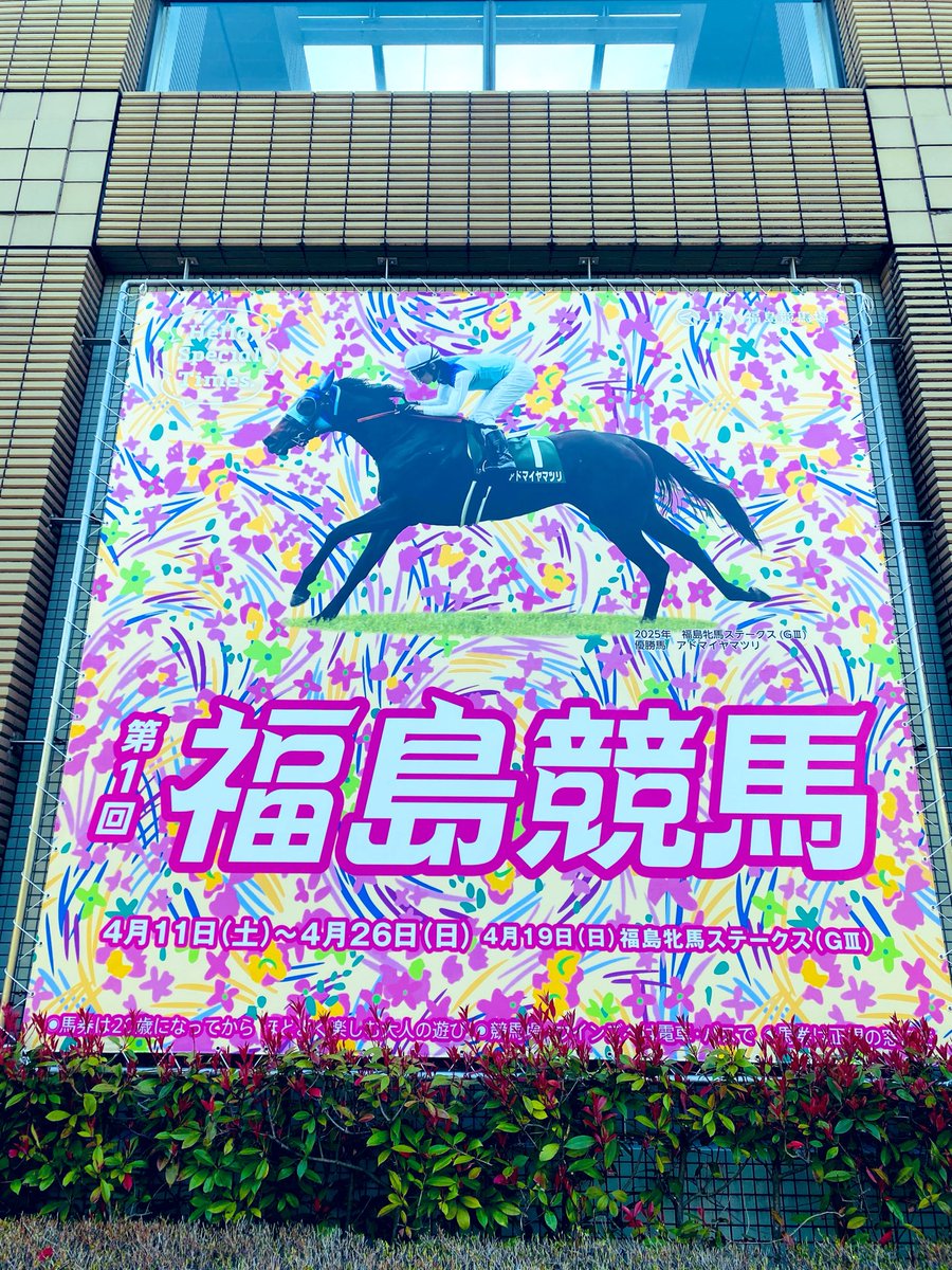 🍥どこでも行っちゃう戦闘民族きーまちゃん🍥 tweet media