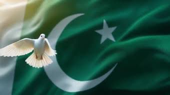 Abn07's tweet photo. You did best, Pakistan Zindabad 💚 https://t.co/Y8ahRJHDDT