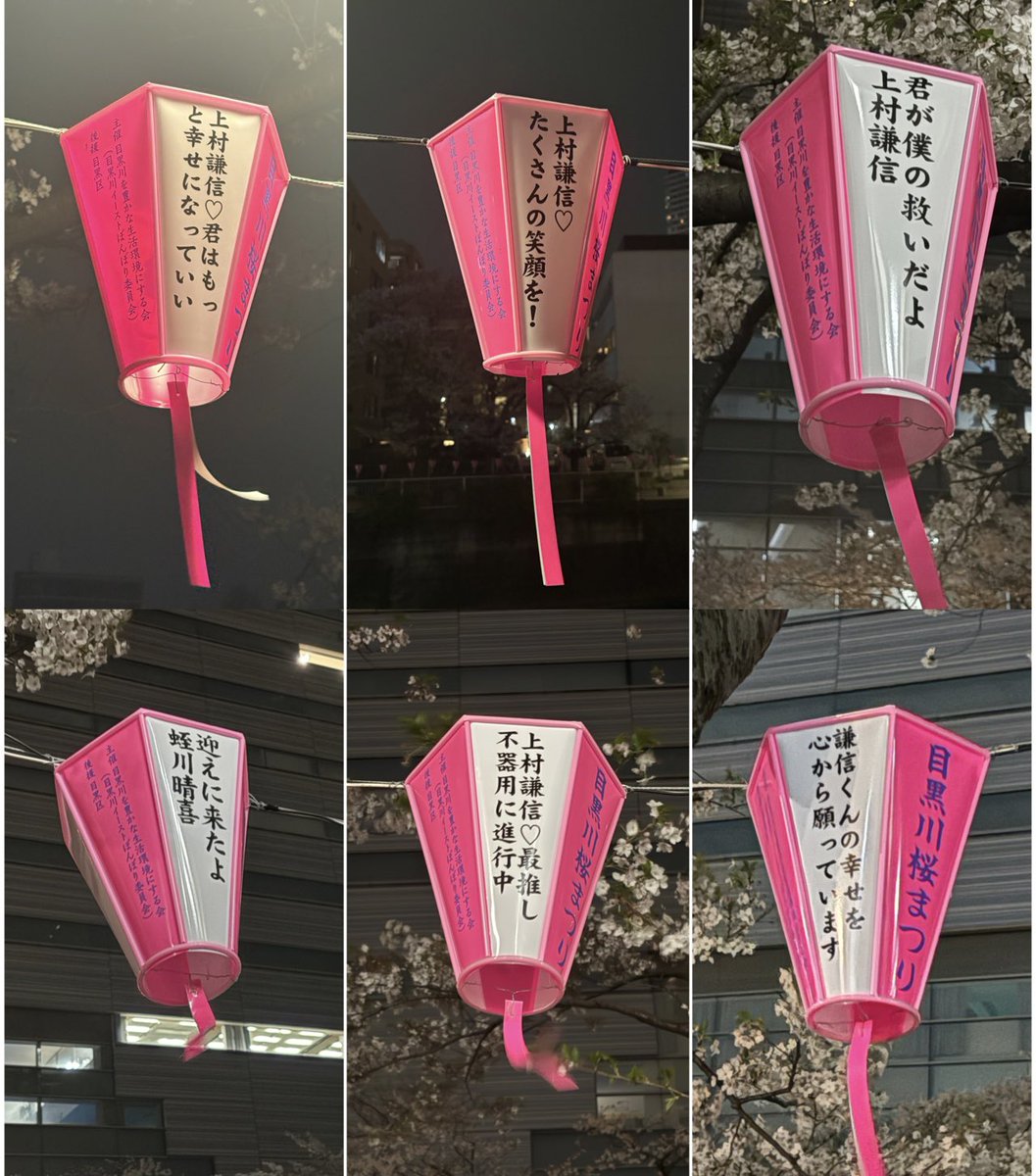Mtk_iruma's tweet photo. 上村謙信の🏮✨️
確か今日まで吊るして下さっているらしいです！！
 #上村謙信  #目黒川  #さくら  #桜 https://t.co/Wp0ImiiEtH
