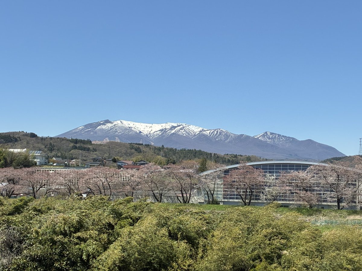 【公式】フロム蔵王/山田乳業㈱ tweet media