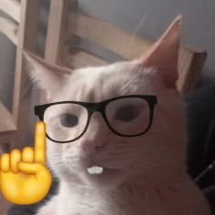 Isrri Solis tweet media