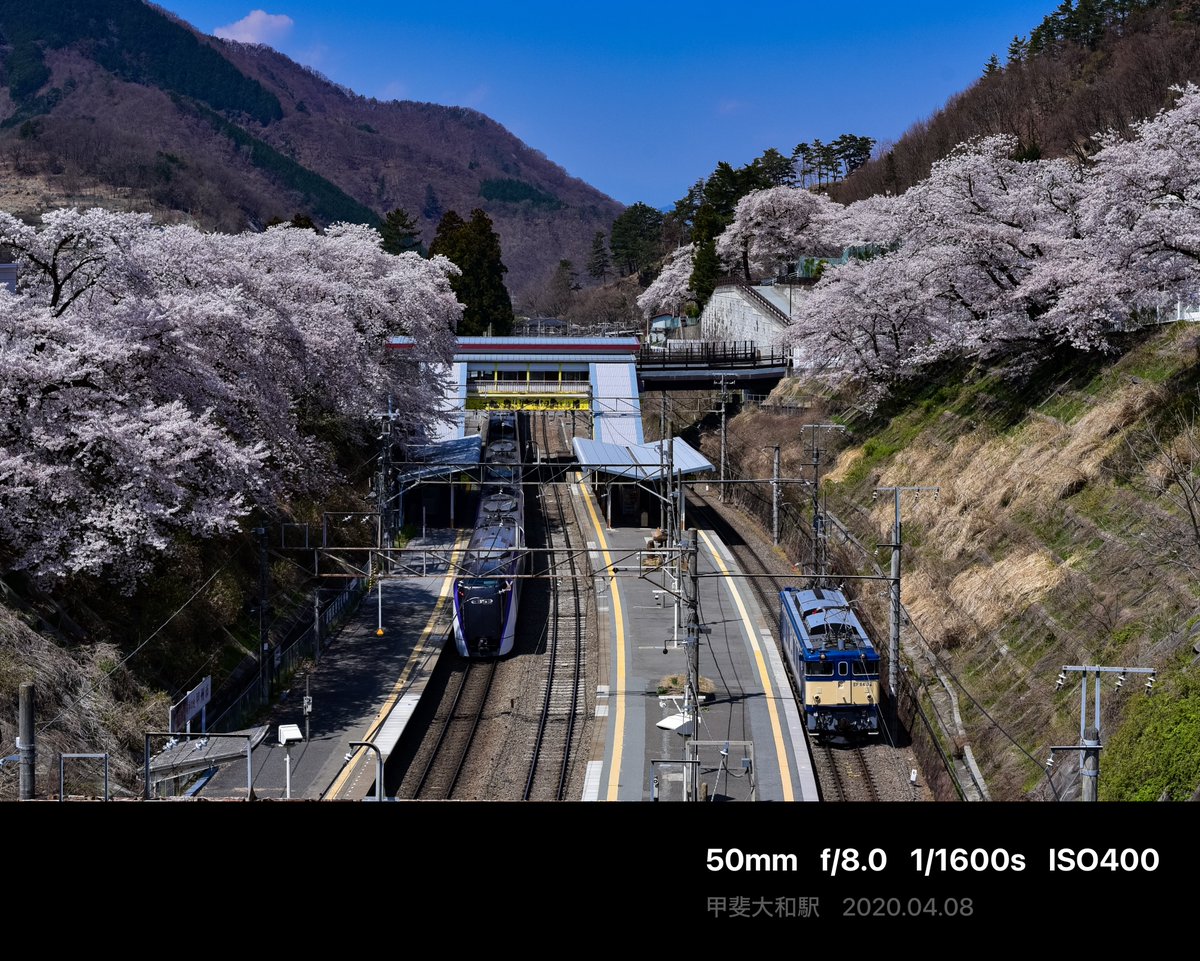 ヨドバシ 新宿西口本店 tweet media