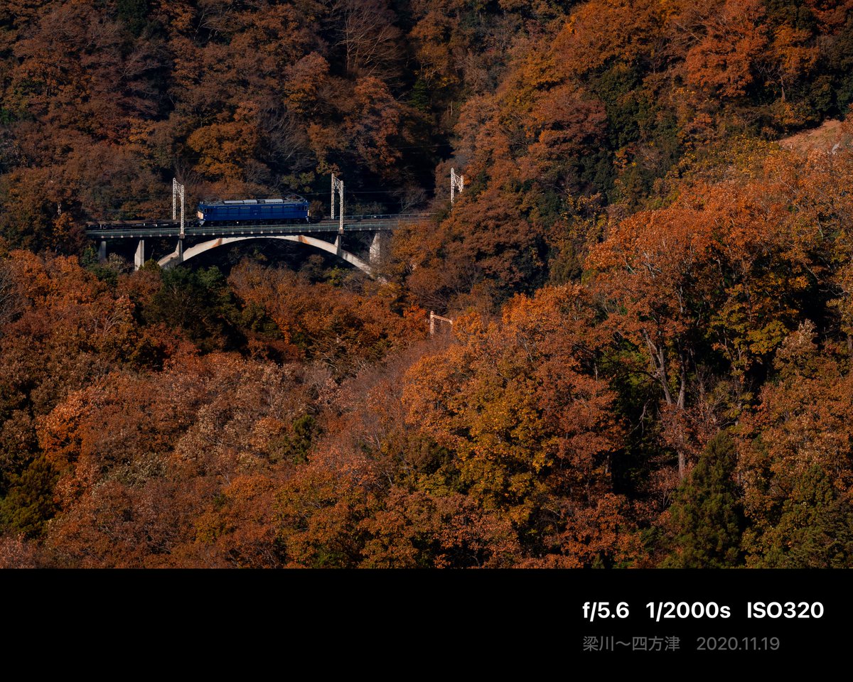 ヨドバシ 新宿西口本店 tweet media