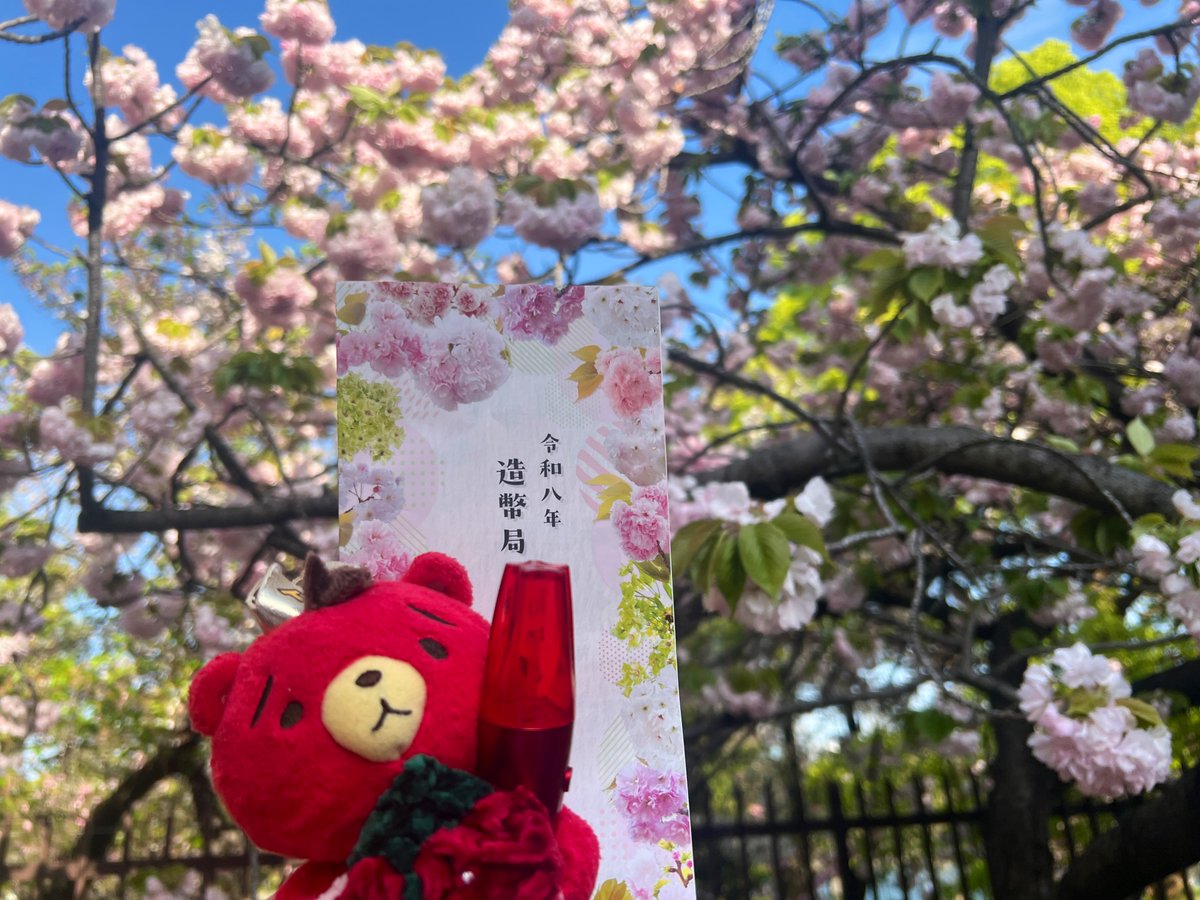 今年の花 「御衣黄」黄緑色の桜でした🌸
TBちゃんも一緒に🧸

#造幣局桜の通り抜け