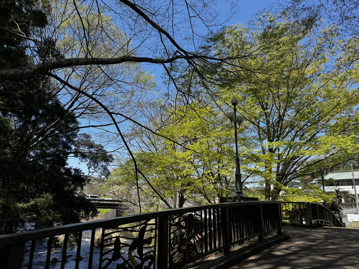 じぇふ tweet media