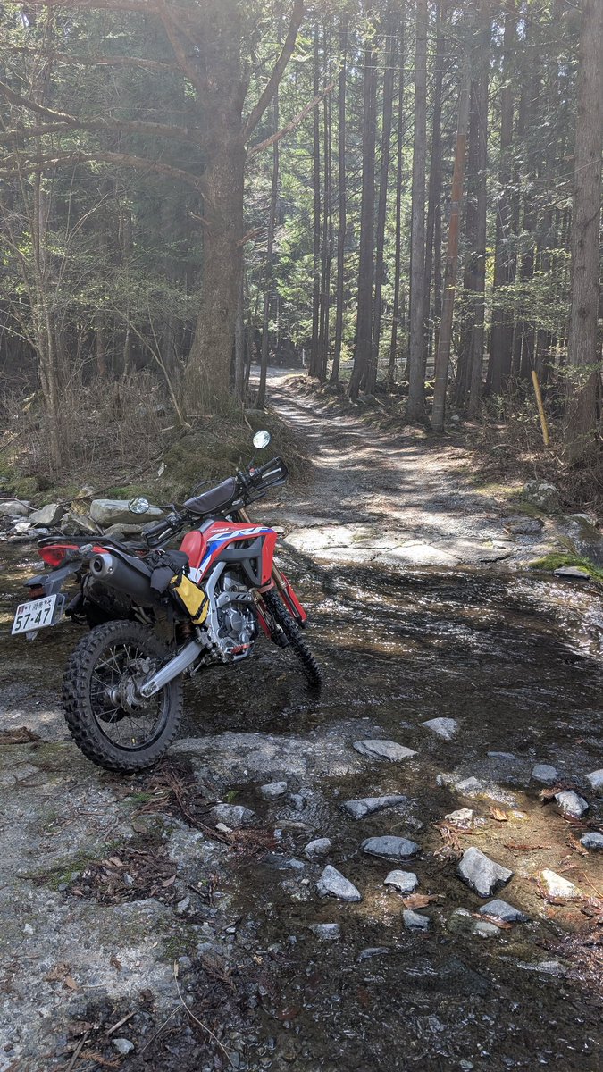 栗@黙示録 tweet media