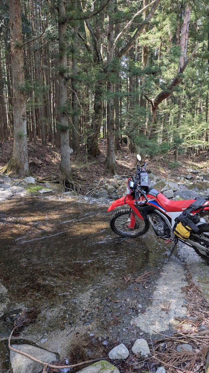 栗@黙示録 tweet media