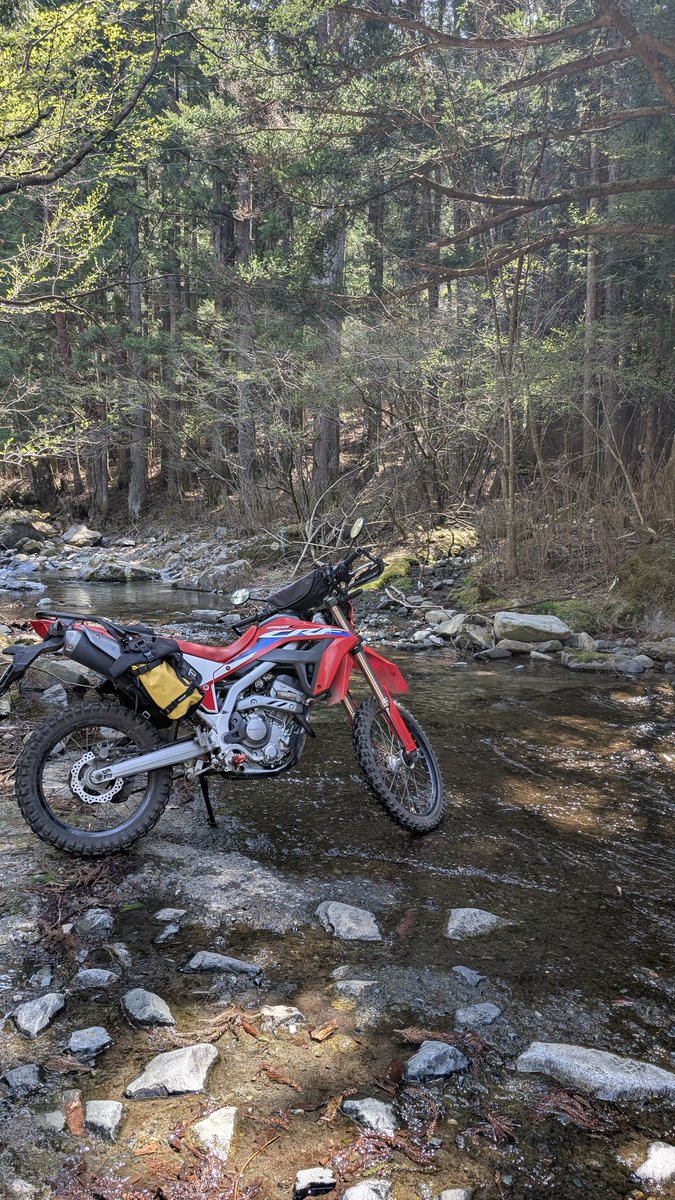 栗@黙示録 tweet media