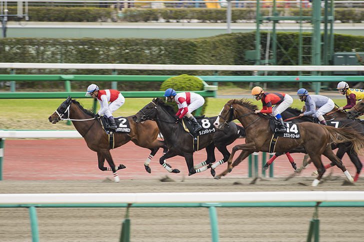 櫻井はるか🌸はるパカ週末は競馬 tweet media