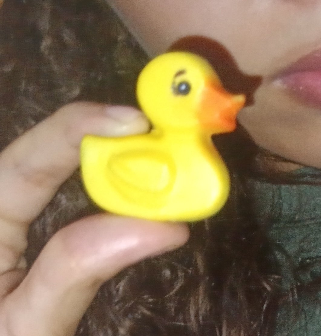 Me deram um pato pra comer gente