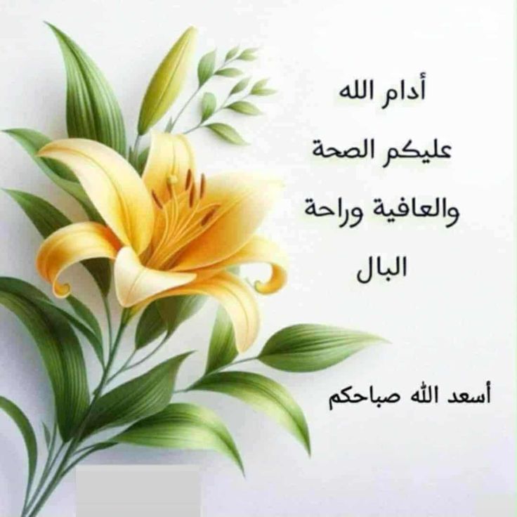 صباح الخيرات والمسرات وراحة البال للجميع يارب العالمين