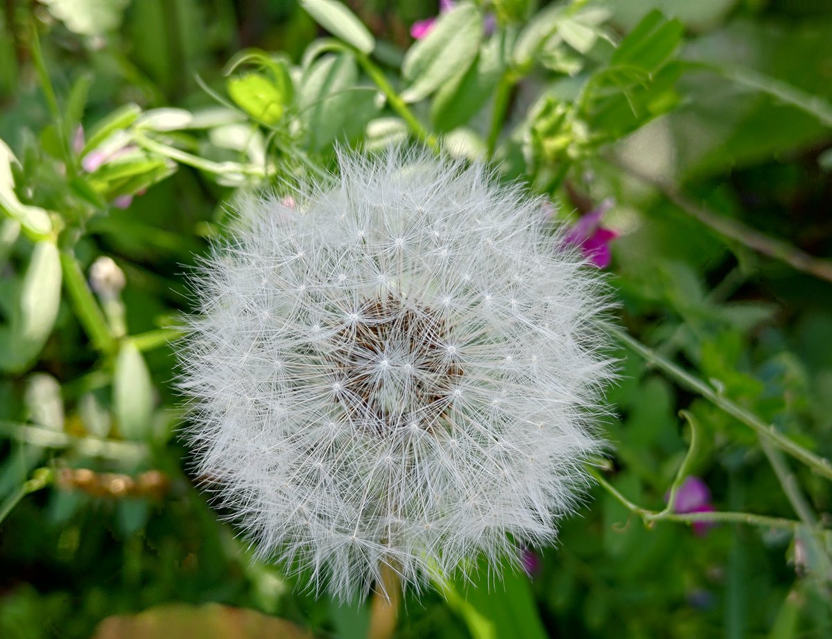 ゆきぐに宇宙船 tweet media