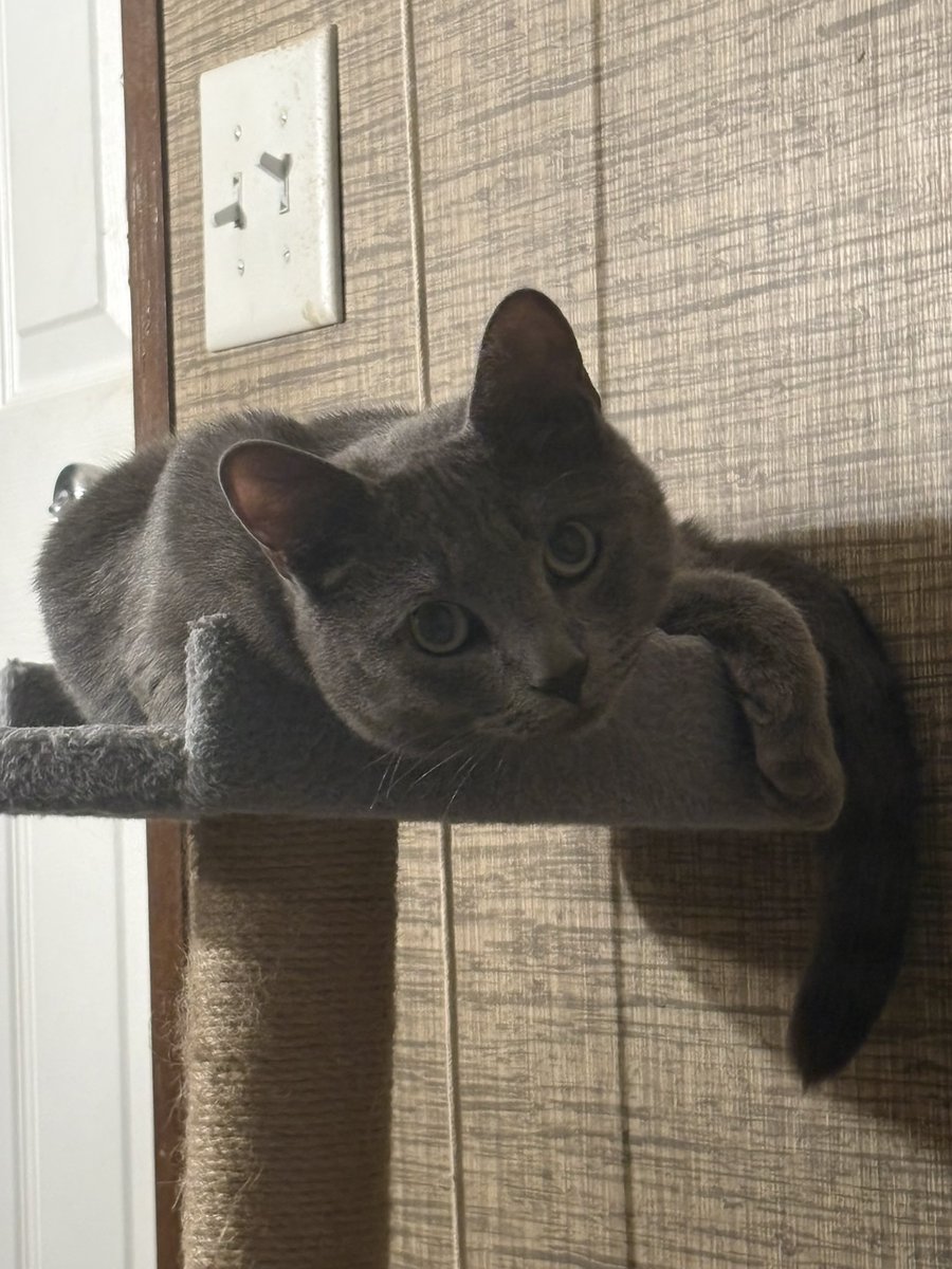 heavyn 🦜🔞🔜 fwa tweet media