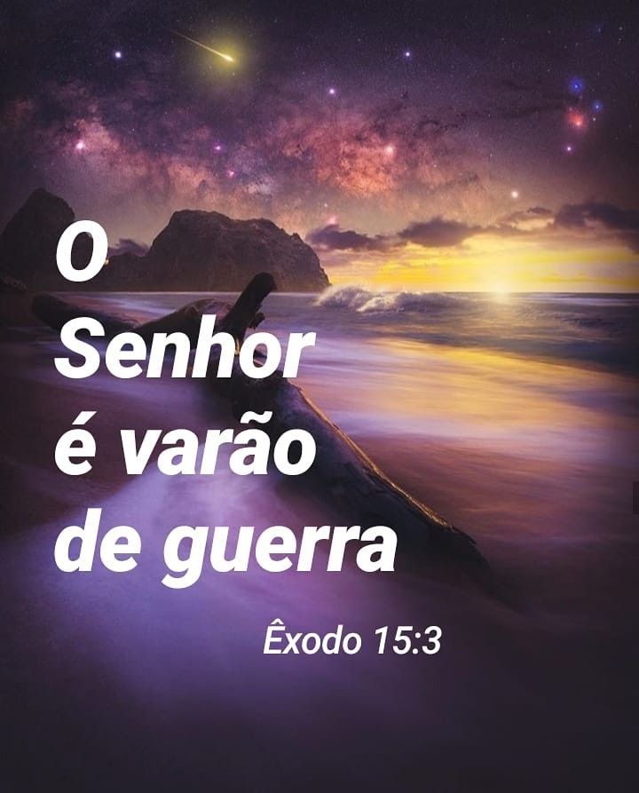 Mynee 🇯🇵🇺🇸🇧🇷 tweet media