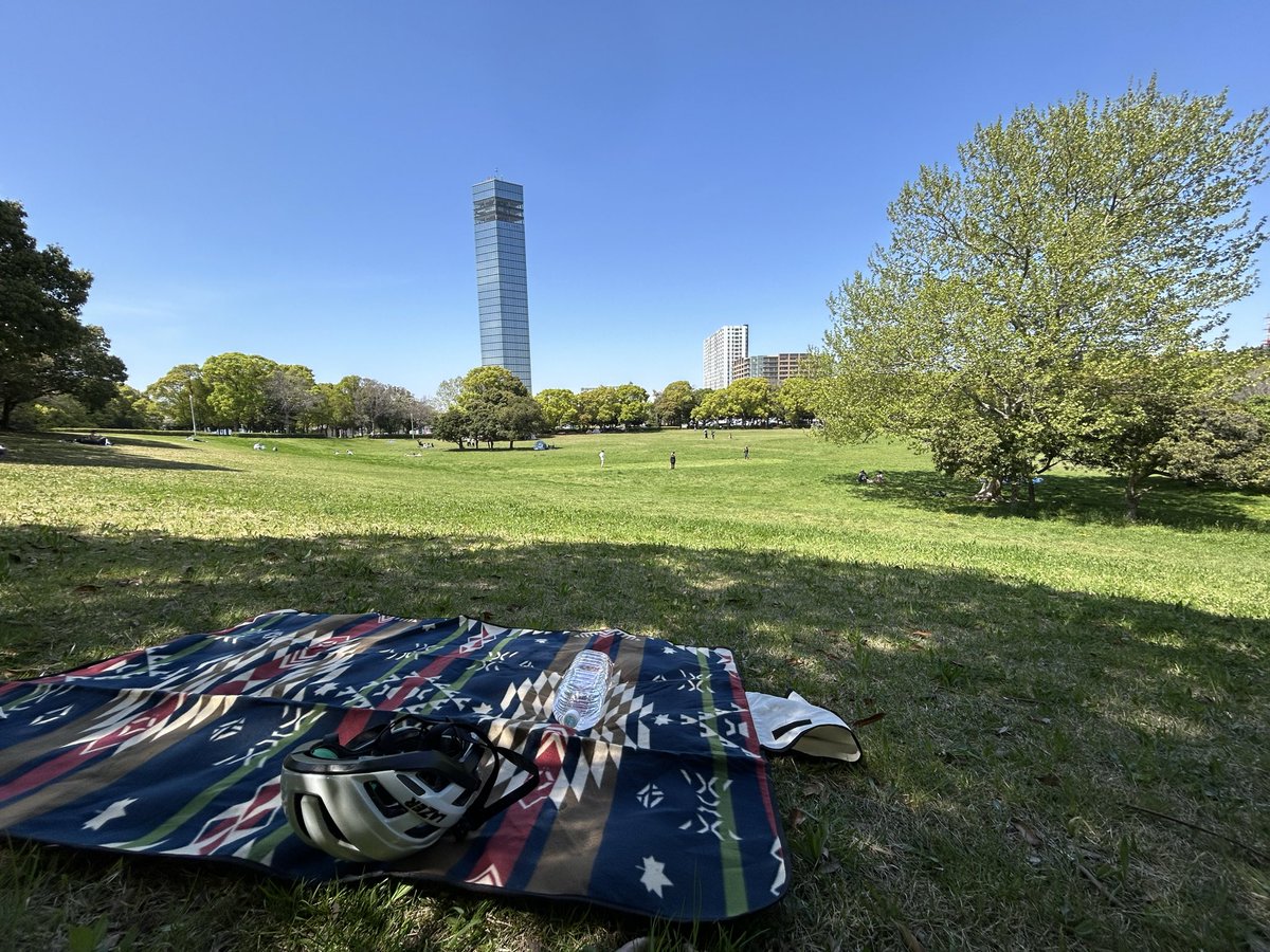今日は日向より木陰の方が気持ちよさそう
